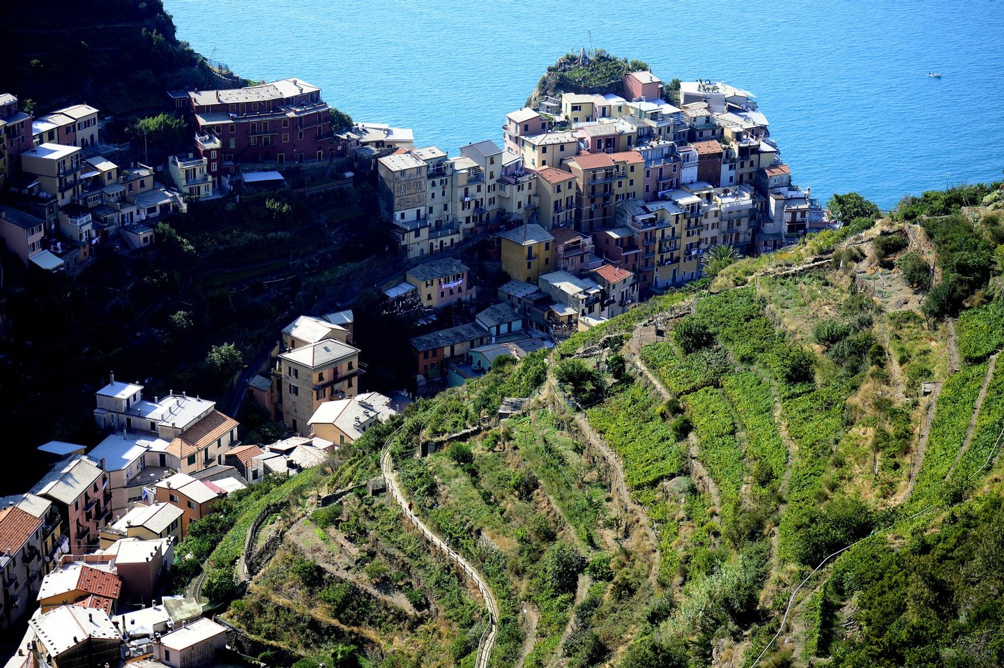 Wine fields overhang the village of Manarola in the "Cinque Terre" area on September 23, 2013. Wine picking is atypical due to the steep land, close to 50 degrees in some areas. AFP PHOTO / OLIVIER MORIN (Photo credit should read OLIVIER MORIN/AFP/Getty Images)