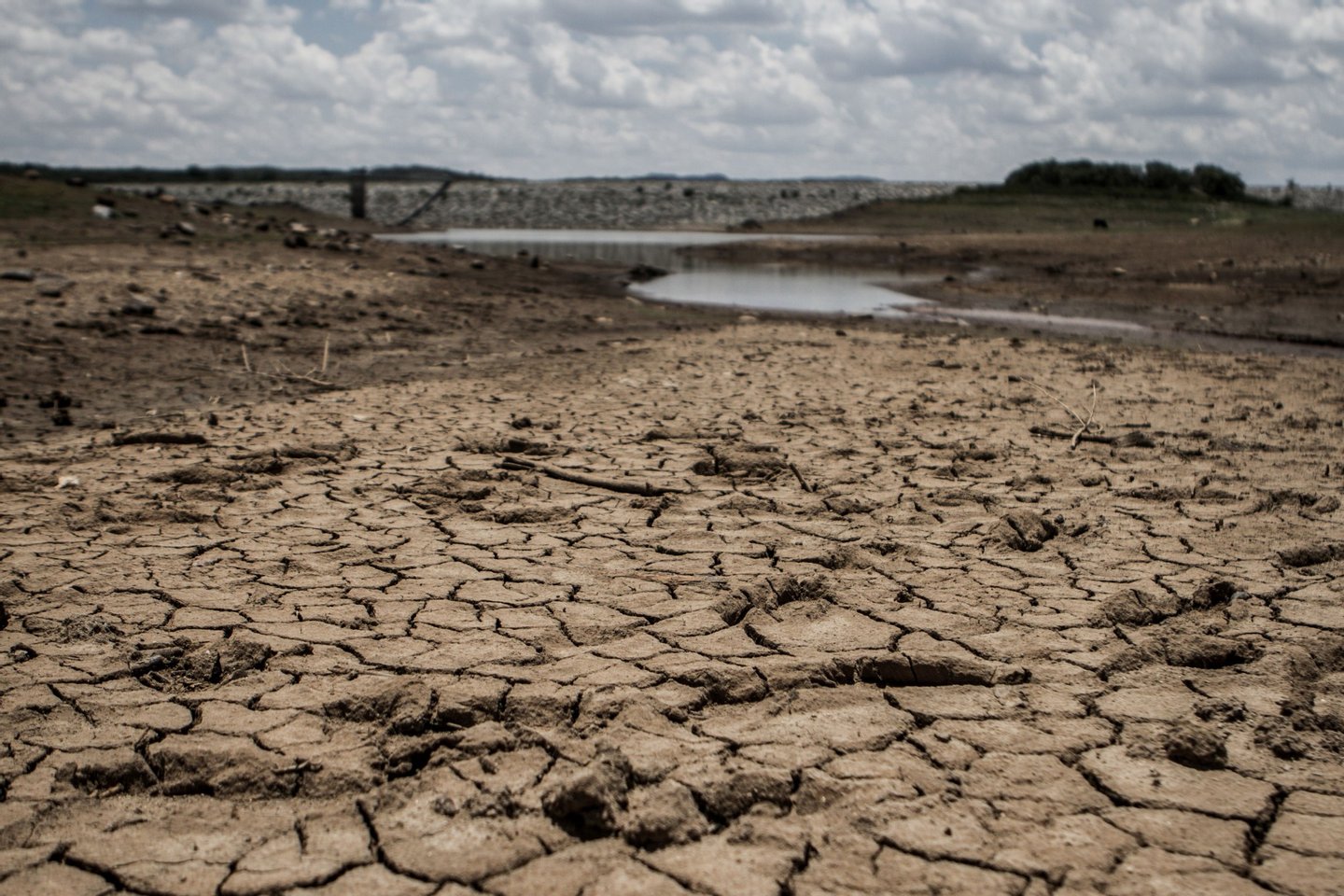 A photo taken on February 7, 2016 shows the fast drying catchment area of the Umzingwani dam in Matabeleland, Southwestern Zimbabwe . Zimbabwe's President Robert Mugabe on February 5, 2016 declared a "state of disaster" in many rural areas hit by a severe drought, with more than a quarter of the population facing food shortages. / AFP / Ziniyange Auntony (Photo credit should read ZINIYANGE AUNTONY/AFP/Getty Images)