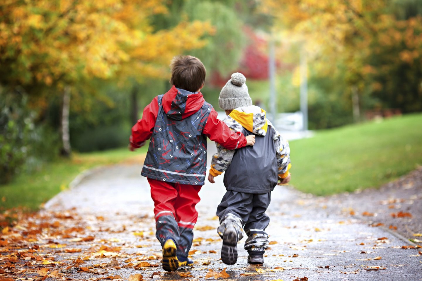 angry, autumn, background, blue, boots, boy, casual, caucasian, childhood, children, colorful, competition, cute, drops, fall, family, fight, foliage, friendship, fun, green, hat, kids, leaves, little, park, path, people, person, plastic, play, pulling, rain, raincoats, red, rivalry, robot, sharing, siblings, together, toy, twins, two, wet, white, young, draw back, 