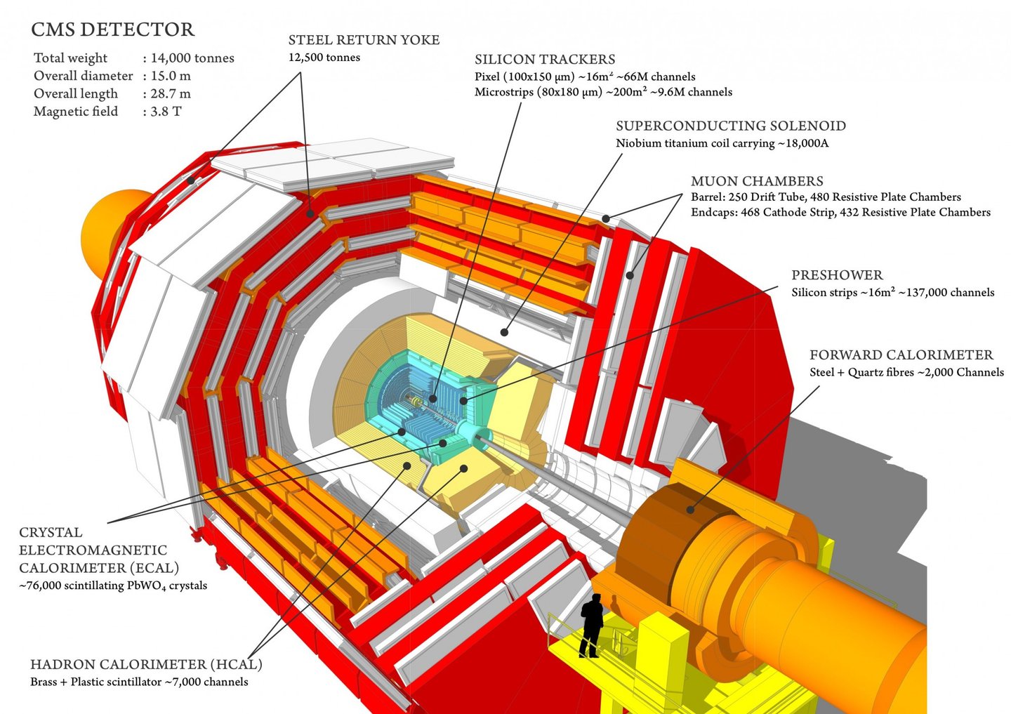 Sectional view of the CMS detector. The LHC beams travel in opposite directions along the central axis of the CMS cylinder colliding in the middle of the CMS detector.