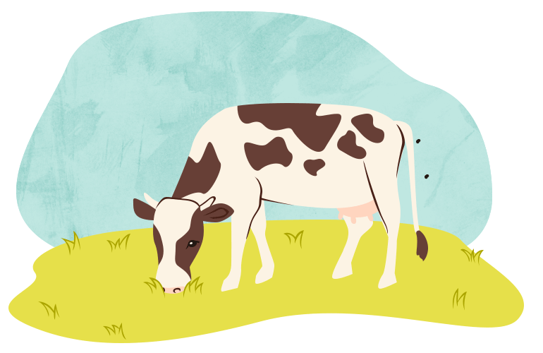 Vaca-ruminar