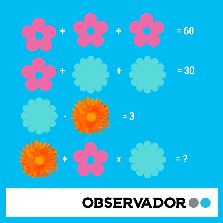 770_observador_flores