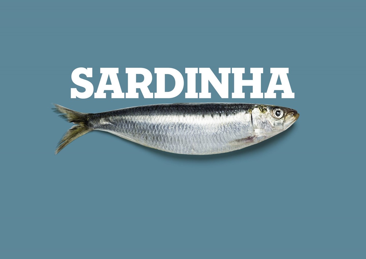sardinha_cat