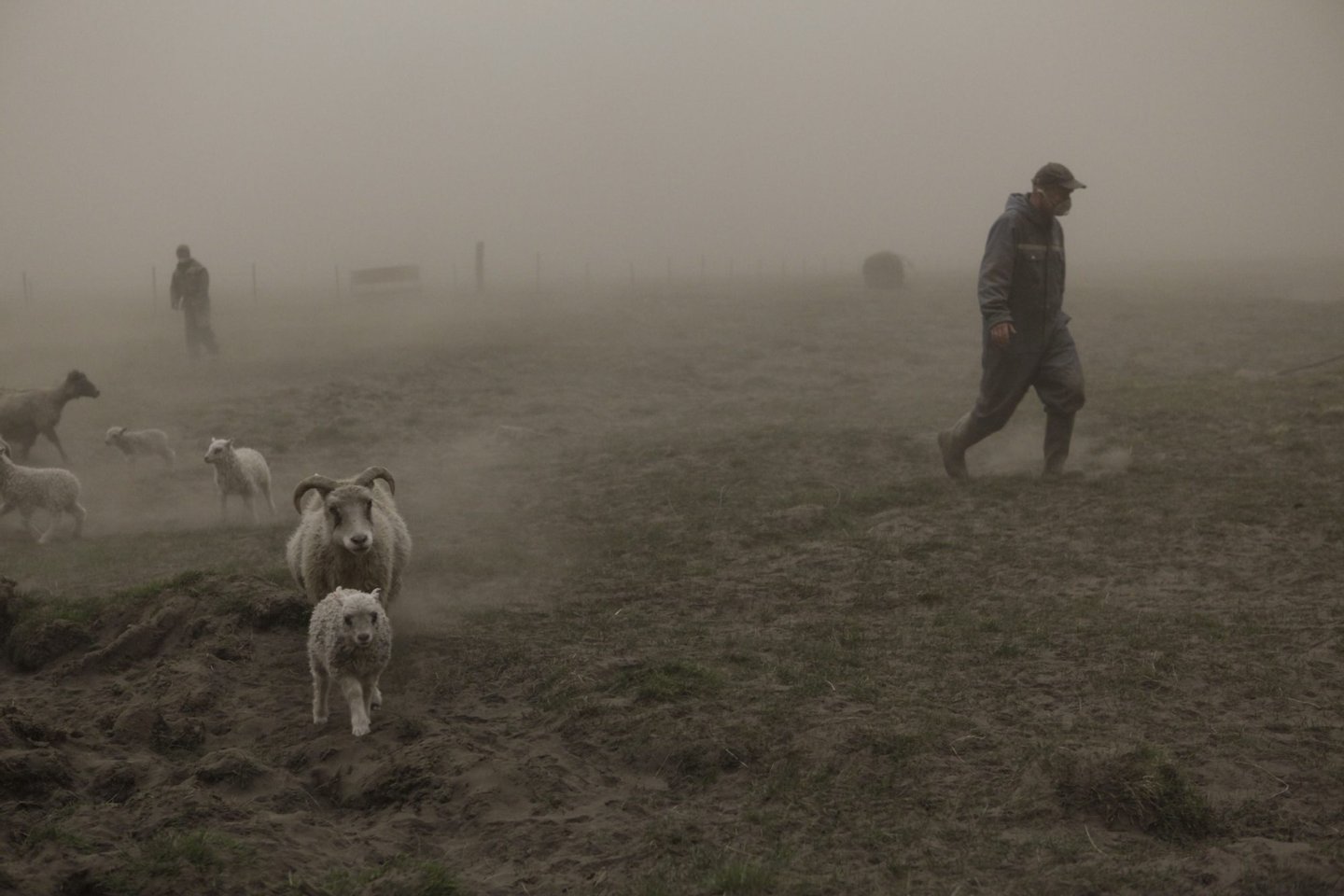 Sheep farmers try to round up a flock as they walk through a cloud of ash pouring out of the erupting Grimsvoetn volcano in Mulakot on May 22, 2011. Ash deposits were sprinkled over the capital Reykjavik, some 400 kilometres (250 miles) to the west of the volcano, which has spewed an ash cloud about 20 kilometres into the sky. Less than 24 hours after the eruption began late Saturday, experts and authorities in Iceland said the volcanic activity had begun to decline. AFP PHOTO / Vilhelm Gunnarsson ***ICELAND OUT*** (Photo credit should read Vilhelm Gunnarsson/AFP/Getty Images)