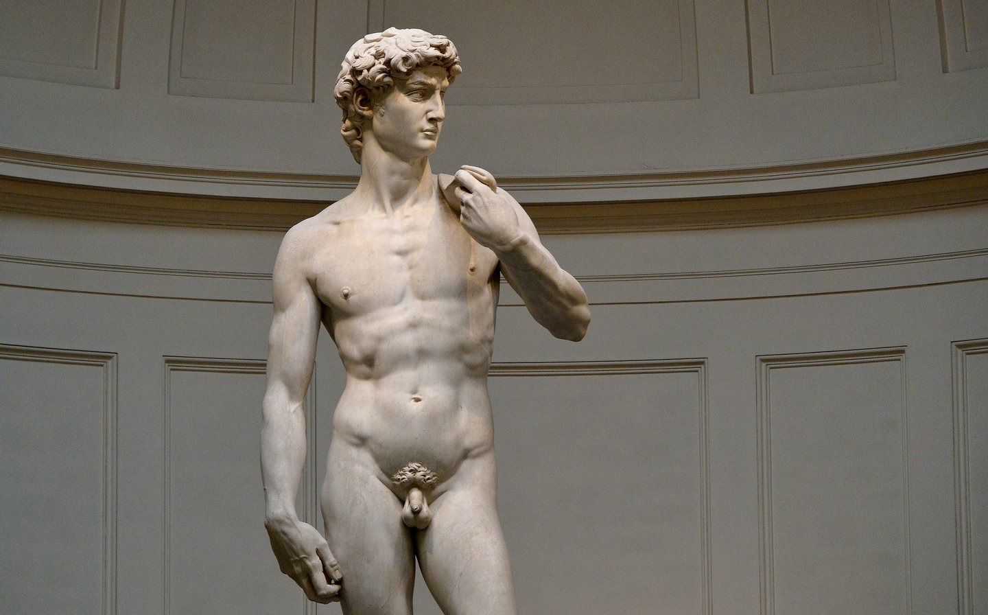 The original 16th century statue of David by Italian artist Michelangelo Buonarroti stands in the Galleria dell'Accademia in central Florence on January 23, 2015. AFP PHOTO / ALBERTO PIZZOLI (Photo credit should read ALBERTO PIZZOLI/AFP/Getty Images)