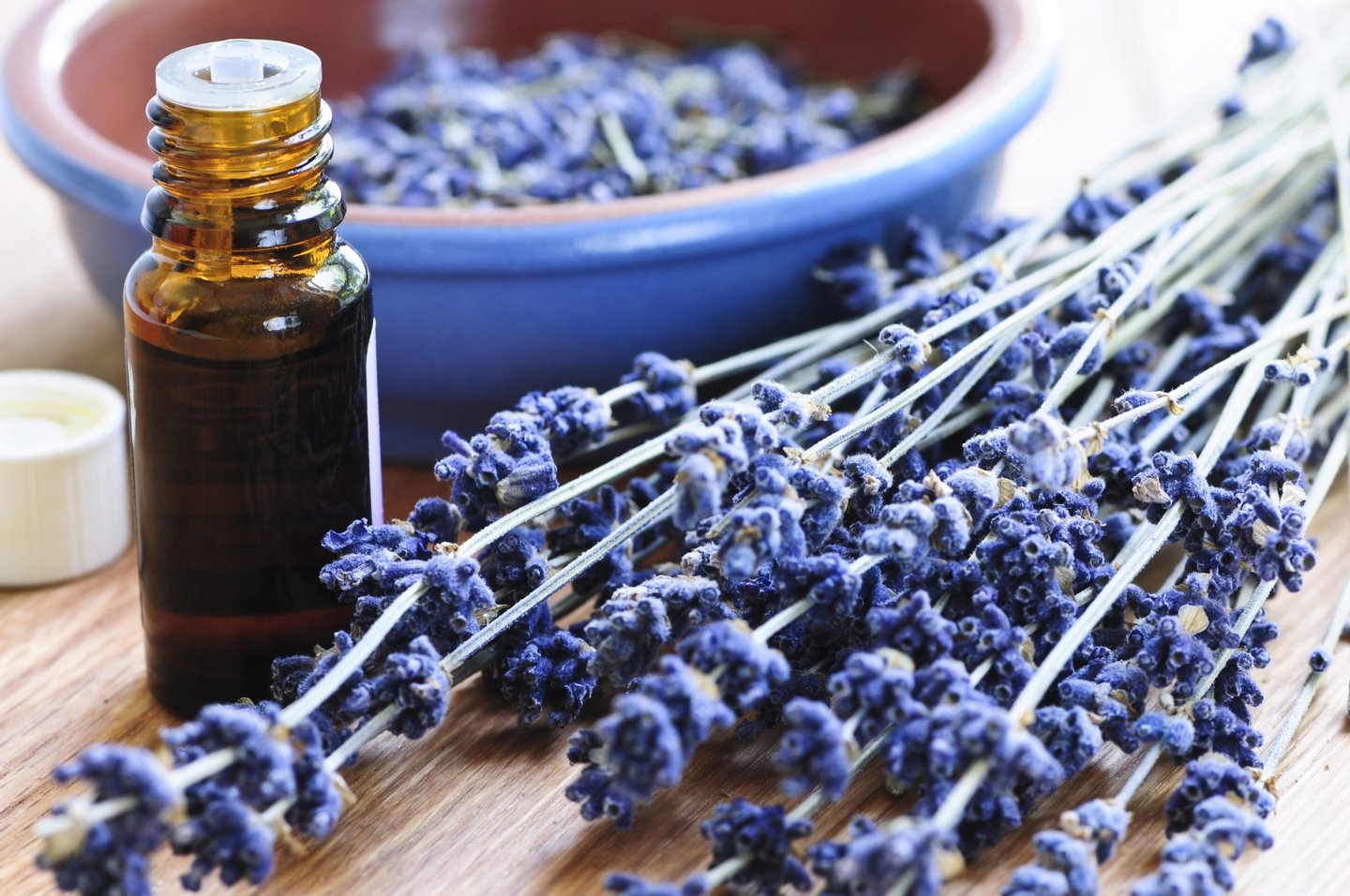 lavender, natural, organic, aroma, therapy, aromatherapy, dry, dried, herb, herbal, beauty, cosmetic, hygiene, plant, scent, scented, spa, wellness, body, care, bodycare, relaxing, relaxation, skincare, aromatic, sprig, sprigs, pampering, wellbeing, oil, essential, bottle, essence, perfume, 