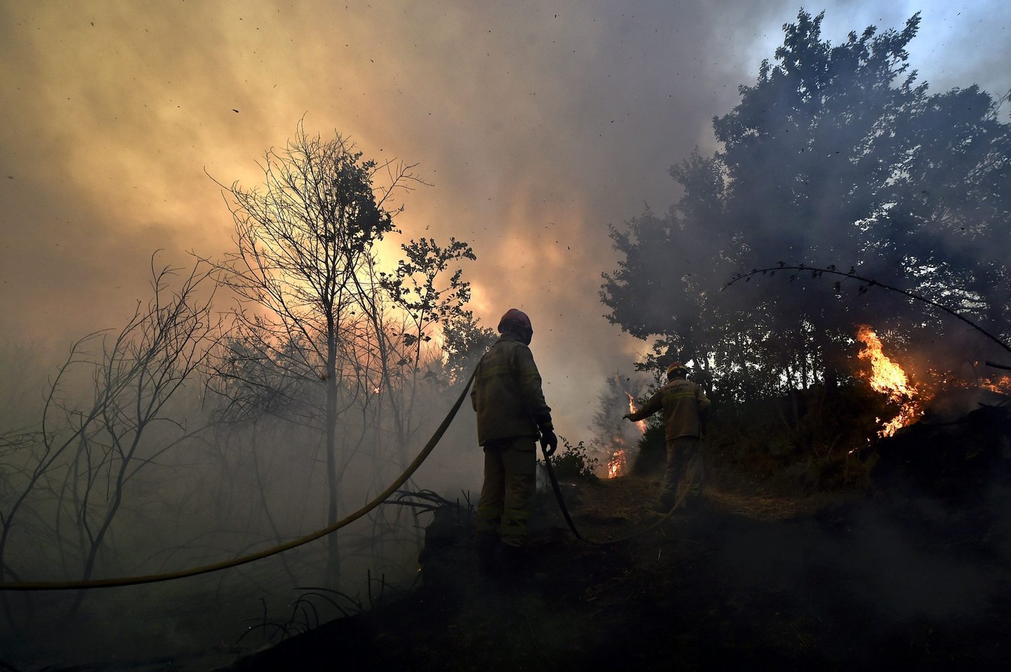 Portugal: IncÃªndio em Vila Nova, Viseu