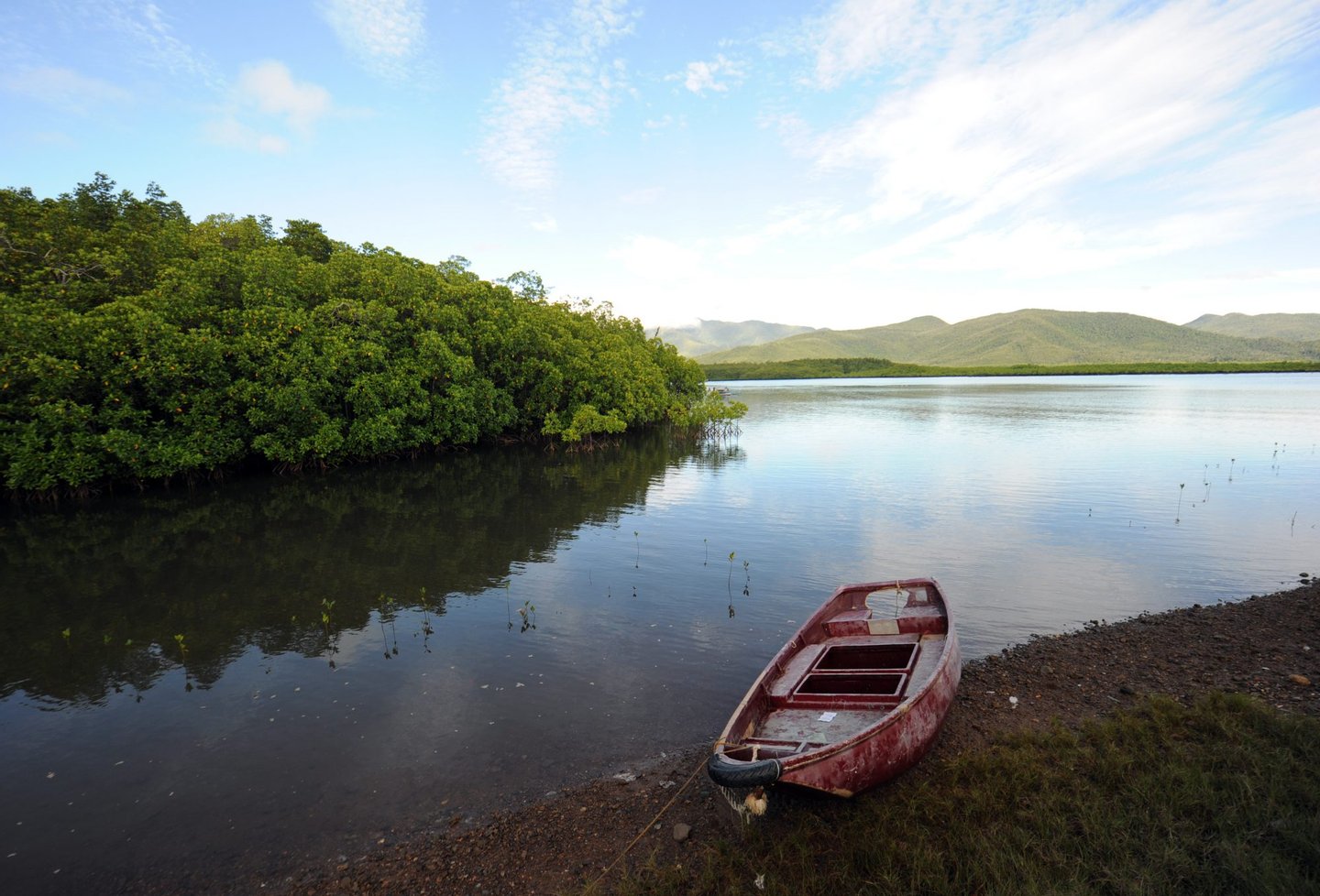 A boat sits anchored next to mangrove trees at Ulugan Bay in Puerto Princesa, Palawan island, south of Manila on April 25, 2012. AFP PHOTO/TED ALJIBE (Photo credit should read TED ALJIBE/AFP/GettyImages)