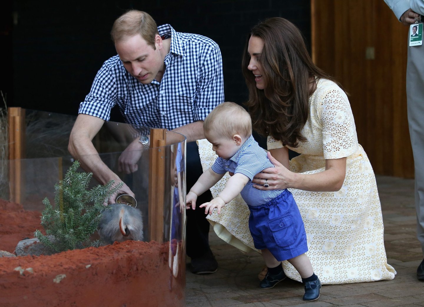 SYDNEY, AUSTRALIA - APRIL 20: Catherine, Duchess of Cambridge holds Prince George of Cambridge as Prince William, Duke of Cambridge looks on whilst meeting a Bilby called George at Taronga Zoo on April 20, 2014 in Sydney, Australia. The Duke and Duchess of Cambridge are on a three-week tour of Australia and New Zealand, the first official trip overseas with their son, Prince George of Cambridge. (Photo by Chris Jackson/Getty Images)