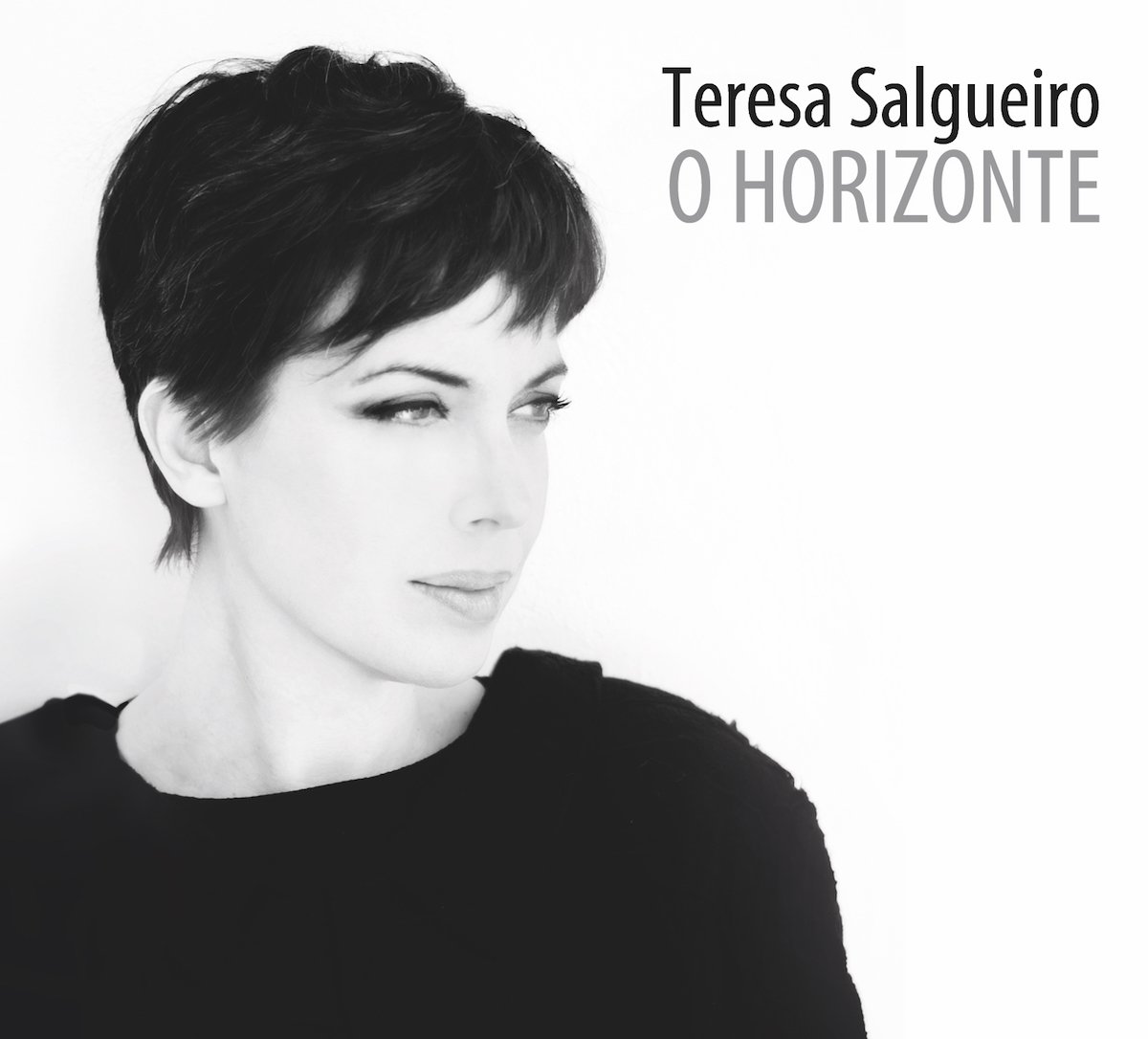 o_horizonte_teresa_salgueiro-2
