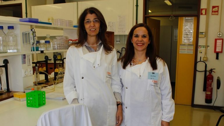 Maria JoÃ£o Sousa (Ã  esquerda) e Ana Preto, as duas investigadoras que deram inÃ­cio ao projeto - D.R.