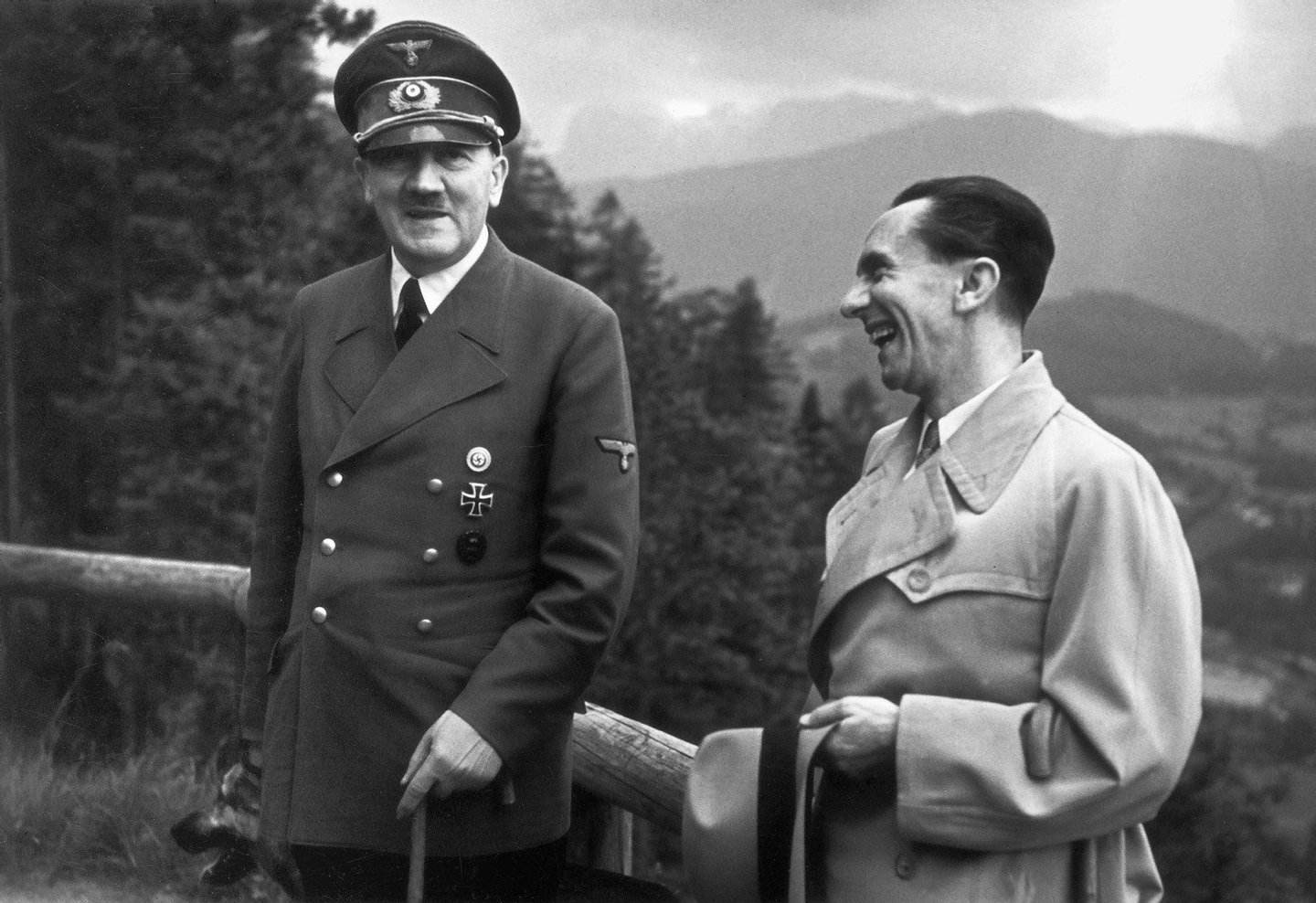 Se nem o fidelÃ­ssimo Joseph Goebbels leu Mein Kampf, quem o terÃ¡ feito?