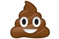 Pile-of-poo-emoji