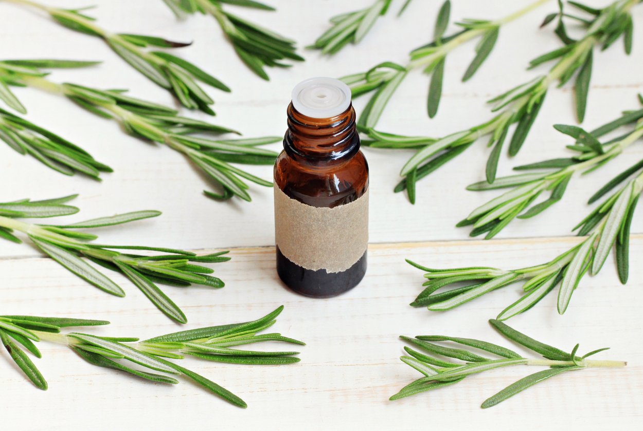 Hair Loss, Beauty Treatment, Air Freshener, Inhaling, Spa Treatment, Hair Care, Homemade, Alternative Therapy, Scented, Mouthwash, Bath Bead, Aromatherapy Oil, Herbal Medicine, Moisturizer, Massaging, Aromatherapy, Cooking Oil, Beauty, Relaxation, Food And Drink, Rosemary, Herb, Leaf, Twig, Root, Plant, Medicine, Perfume, Facial Mask - Beauty Product, Beauty Product, Rosemary Oil, Beauty Aids, 