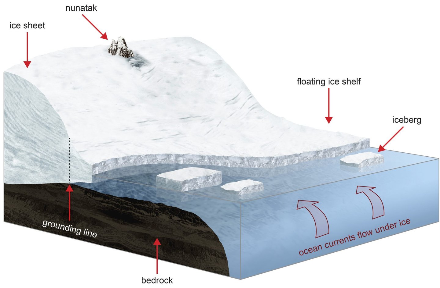 ice shelf illustration_master