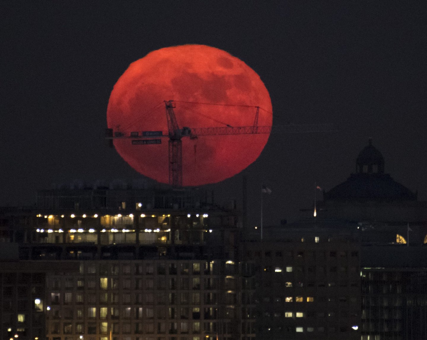 Fotogaleria O fenómeno da última super Lua em 13 fotografias Observador