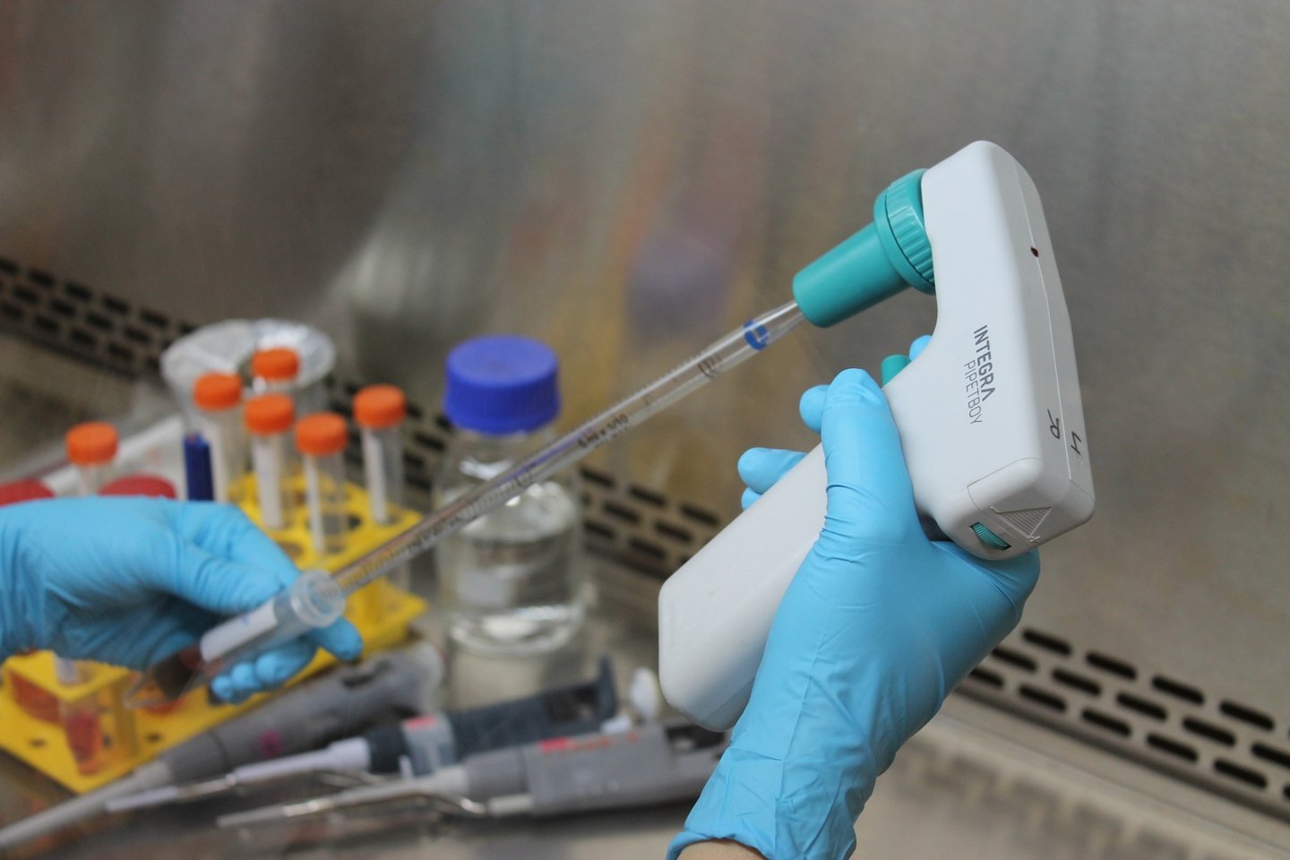 Laboratório VI
