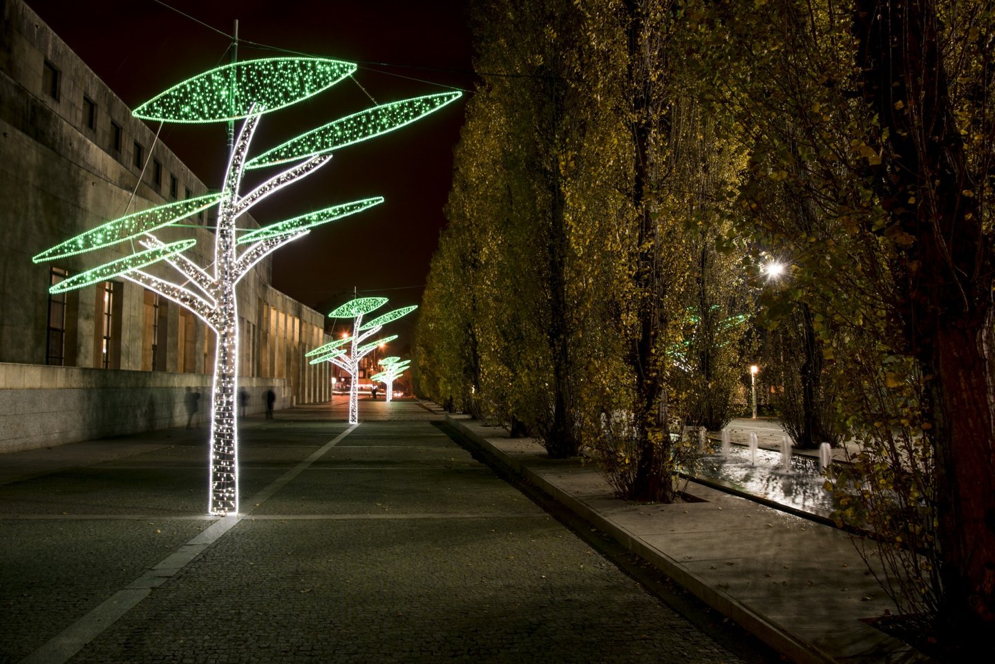 Iluminações de Natal em Matosinhos