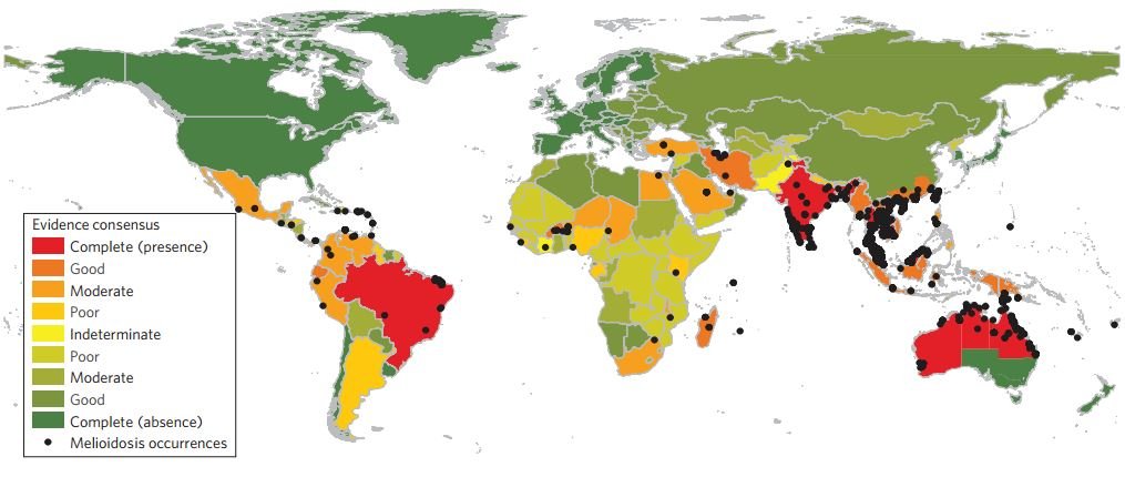 Dados de ocorrência entre 1990 e 2014, desde os dados consensuais em que está ausente (verde) e os dados consensuais em que está presente (vermelho) - Limmathurotsakul et al. (216) Nature Microbiology