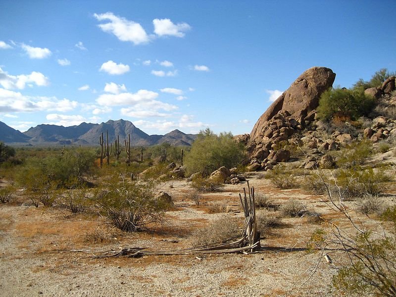 800px-Sonoran_Desert_33.081359_n112.431507
