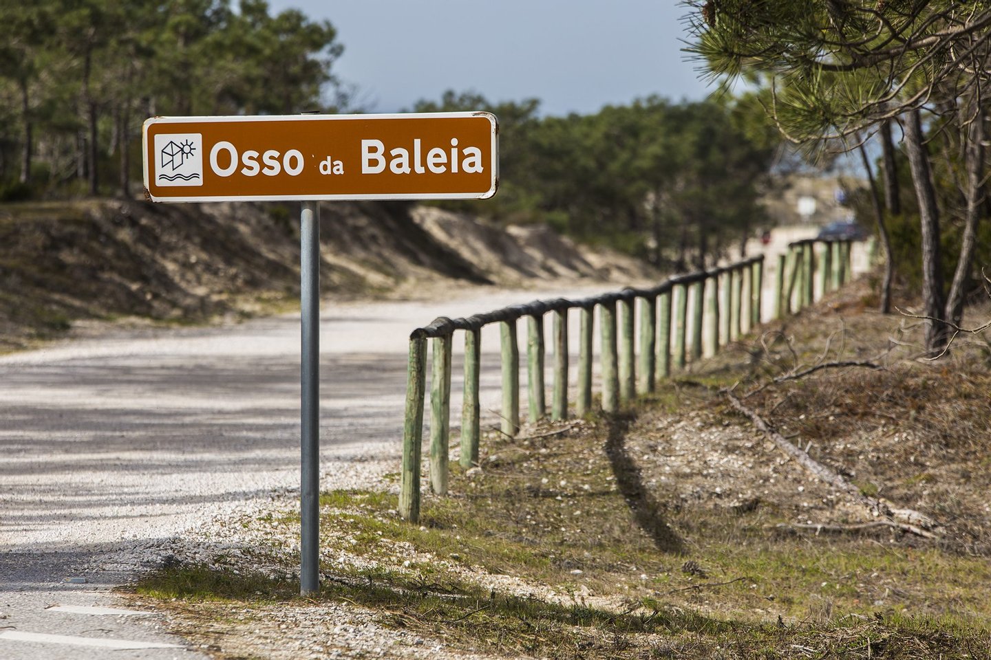 Agora, o acesso à praia faz-se assim. Antes era pelo meio do pinhal, poucos o conheciam