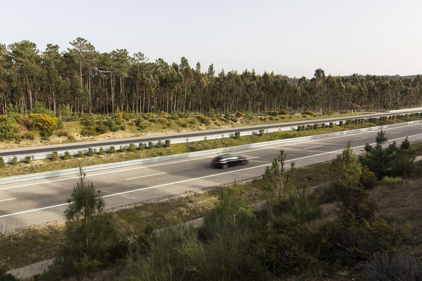 O pinhal onde matou a mulher e a filha já não existe. Agora passa lá a autoestrada