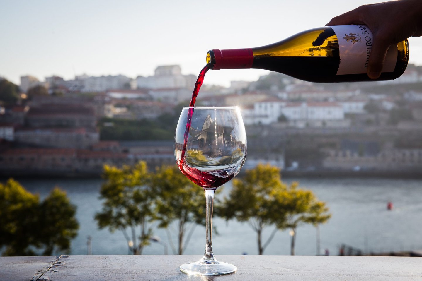 Um novo terraço com vista para o Douro quer ser a salvação 