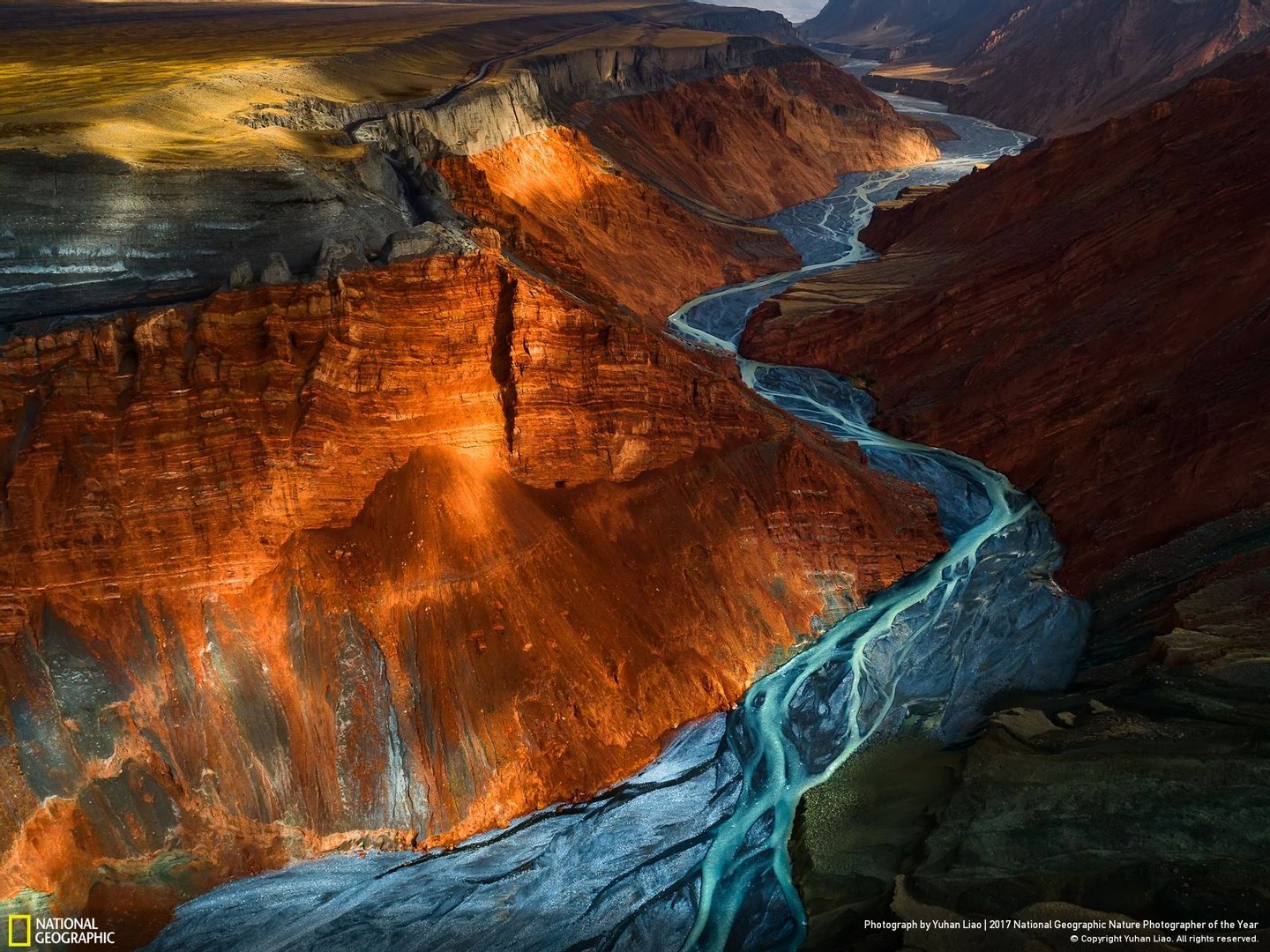 As melhores das melhores. National Geographic anuncia as 36 fotografias