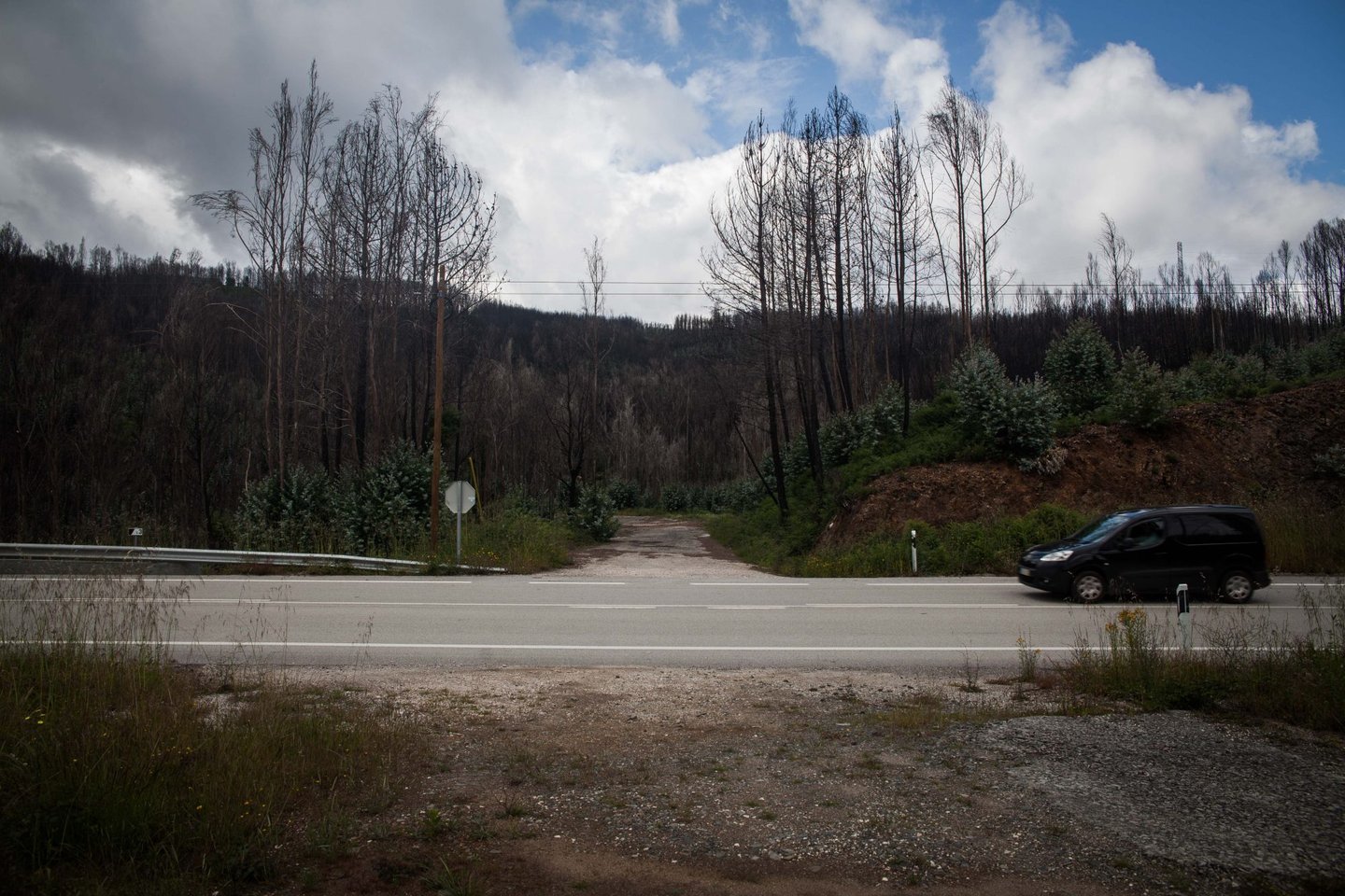 Capa do programa