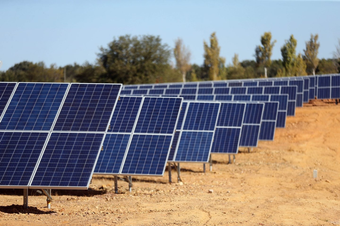 São João da Madeira cria comunidade energética para poupar 700 mil euros a 40 famílias