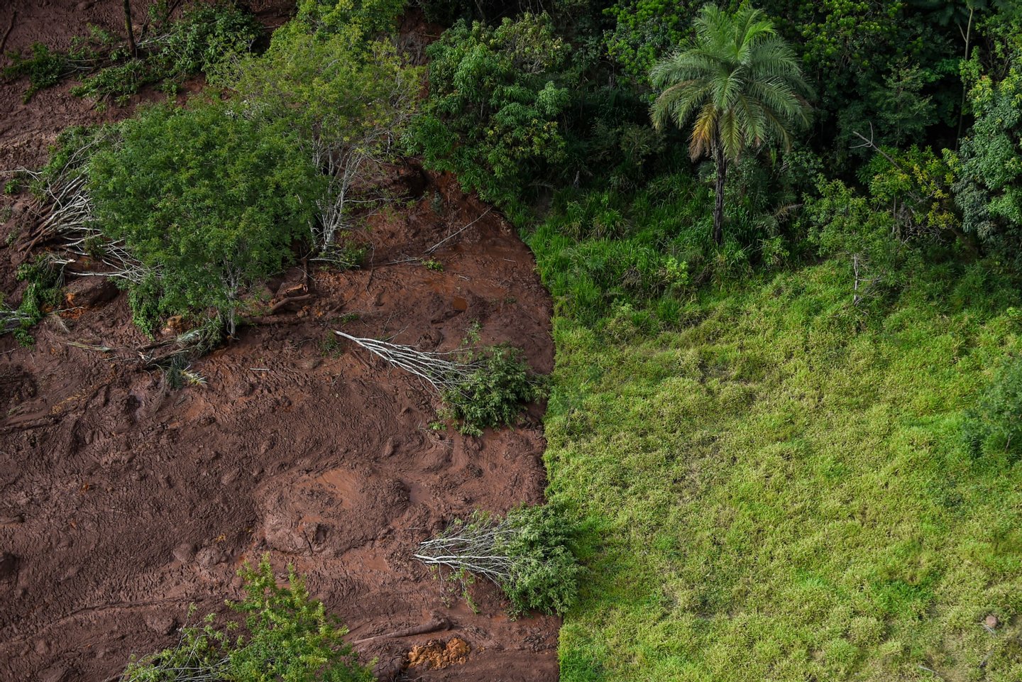 Brumadinho Antes E Depois Da Rutura Da Barragem. Veja As Imagens E ...