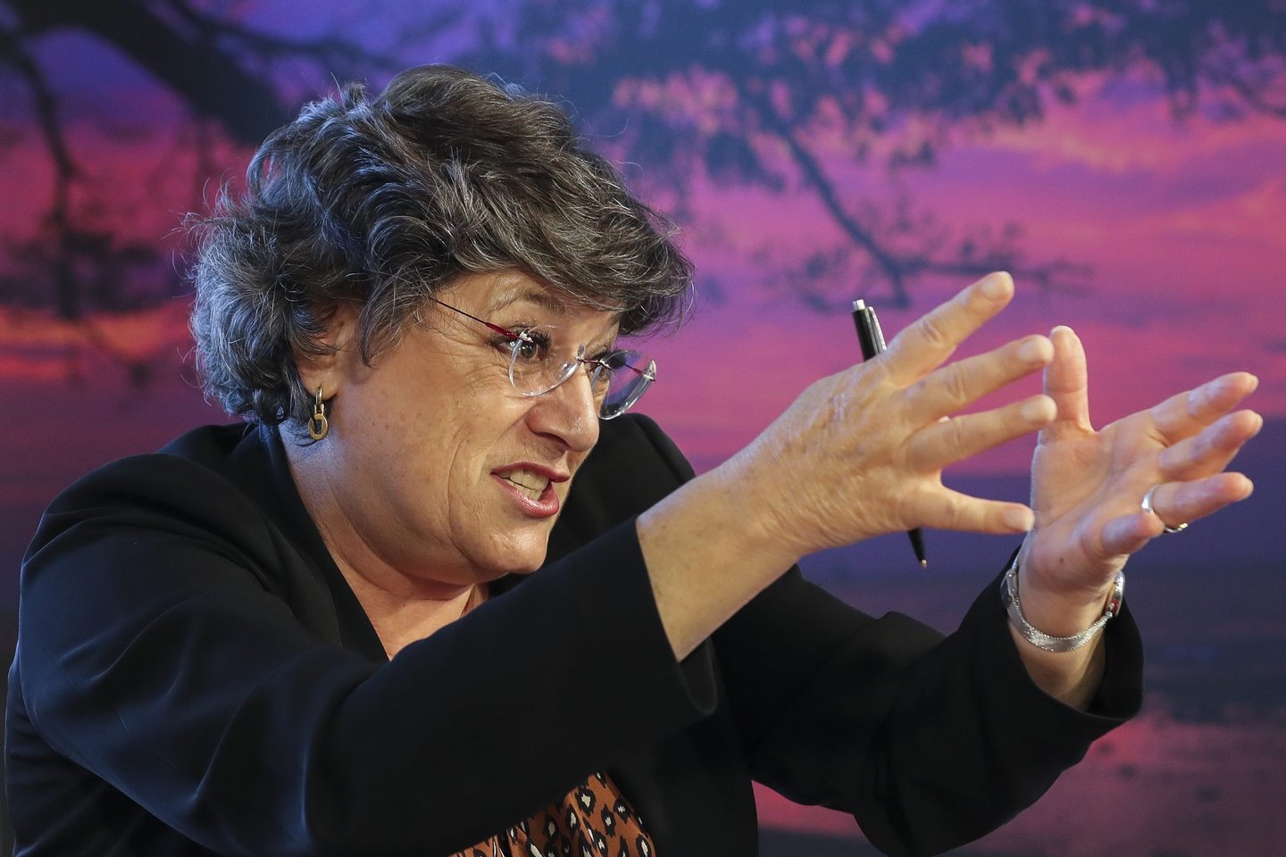 Entrevista A Ana Gomes: “Quando A Alemanha Disser Que Há Eurobonds, Os ...