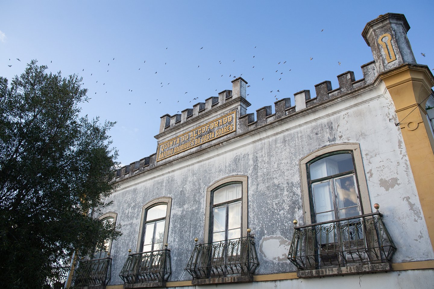 Mariana Alcoforado, a freira portuguesa que escrevia 