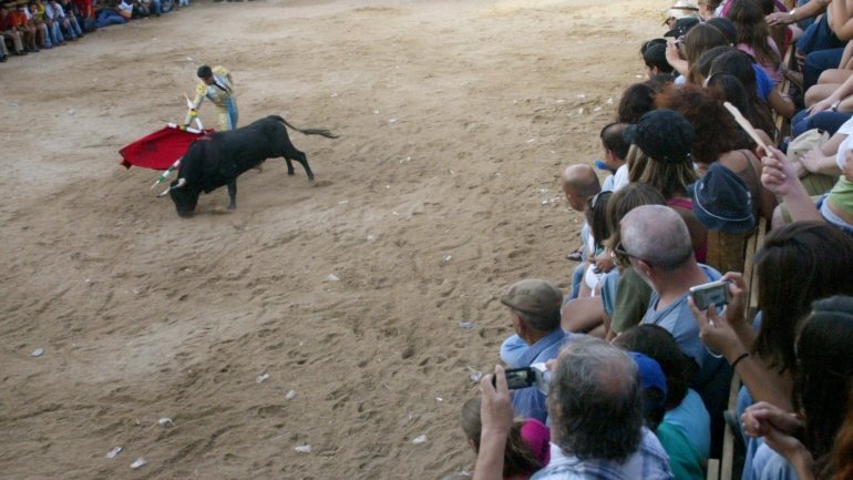 Capa do programa