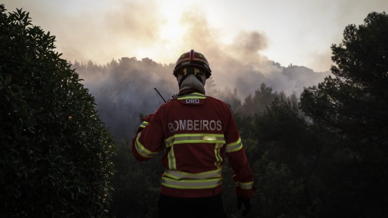 Capa do programa