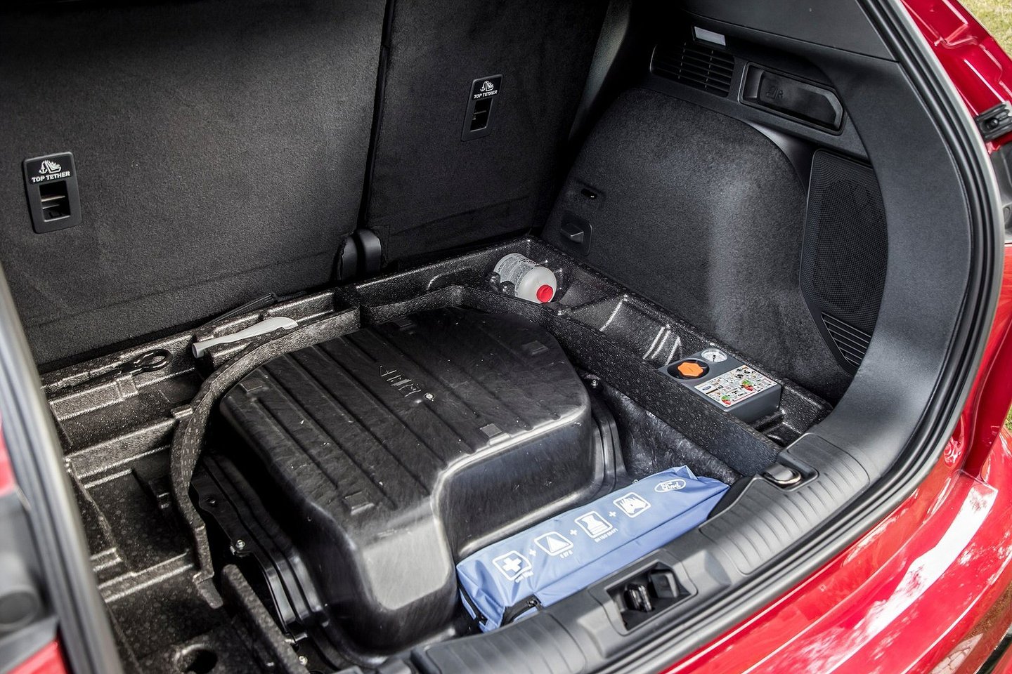 Se tem um Kuga, não carregue a bateria. Pode arder Observador