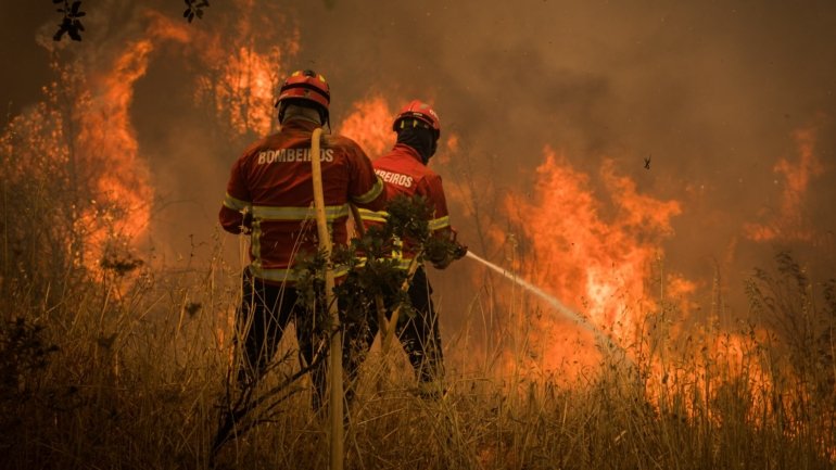 Capa do programa