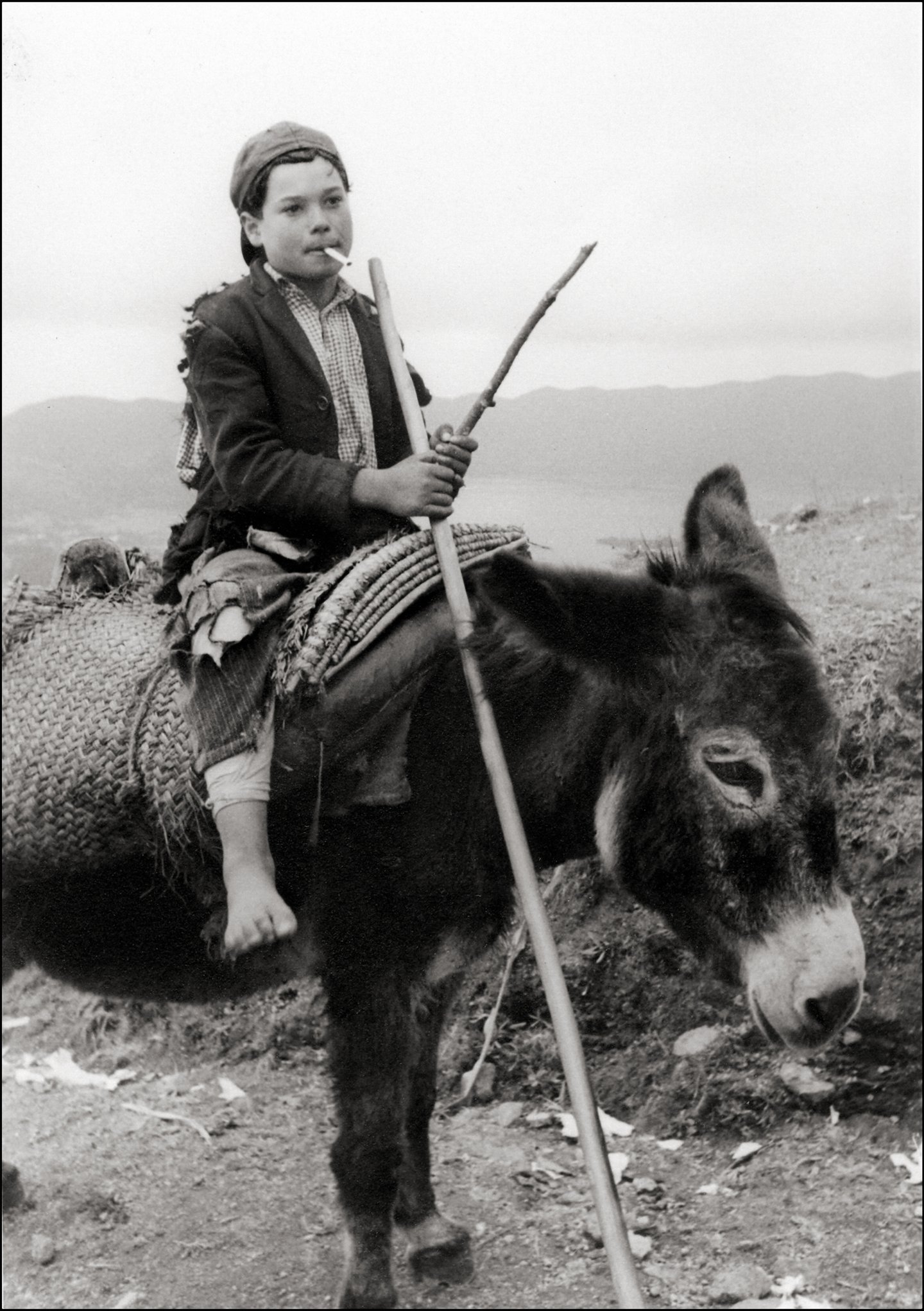 Smoking On His Donkey