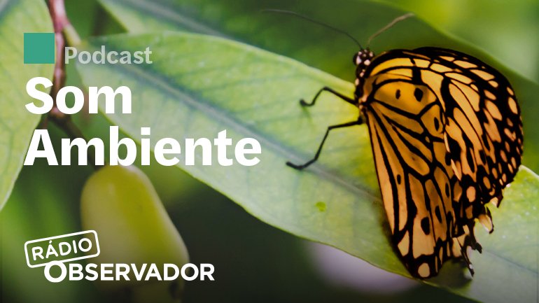 Capa do programa