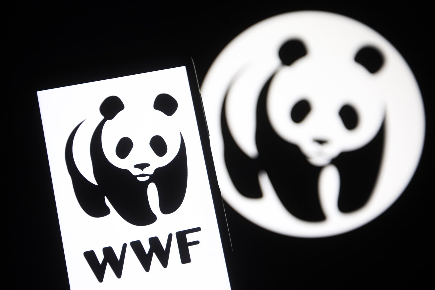 WWF Portugal considera estratégia para a água “megalómana e apressada”