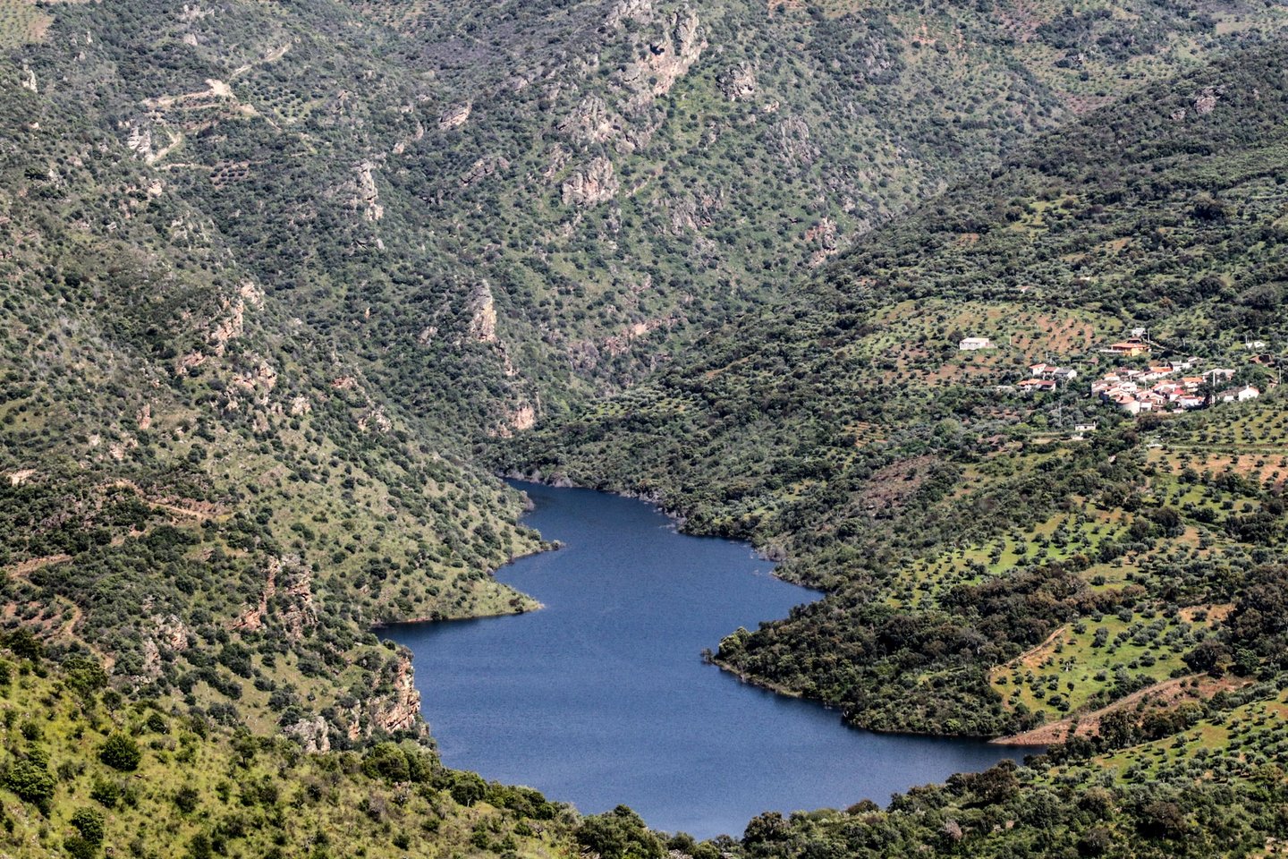 Campanha “Que Douro é este?” revela destino turístico para “todos os gostos”