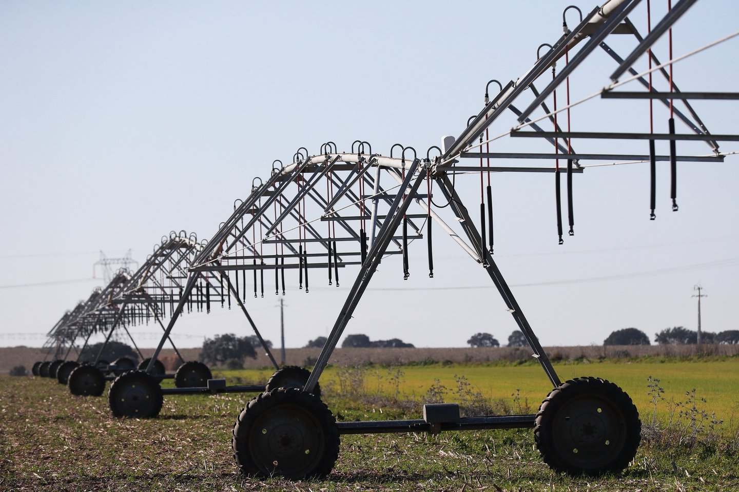 Reprogramação do PEPAC aprovada com aumento do rendimento dos agricultores