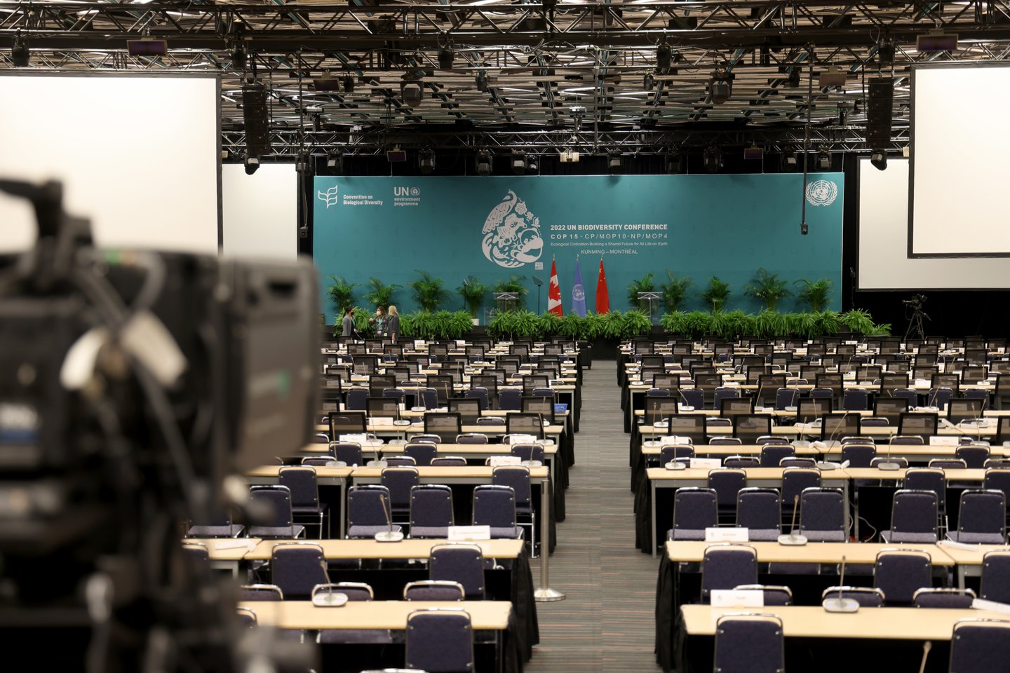 COP15 UN Biodiversity Conference Previews