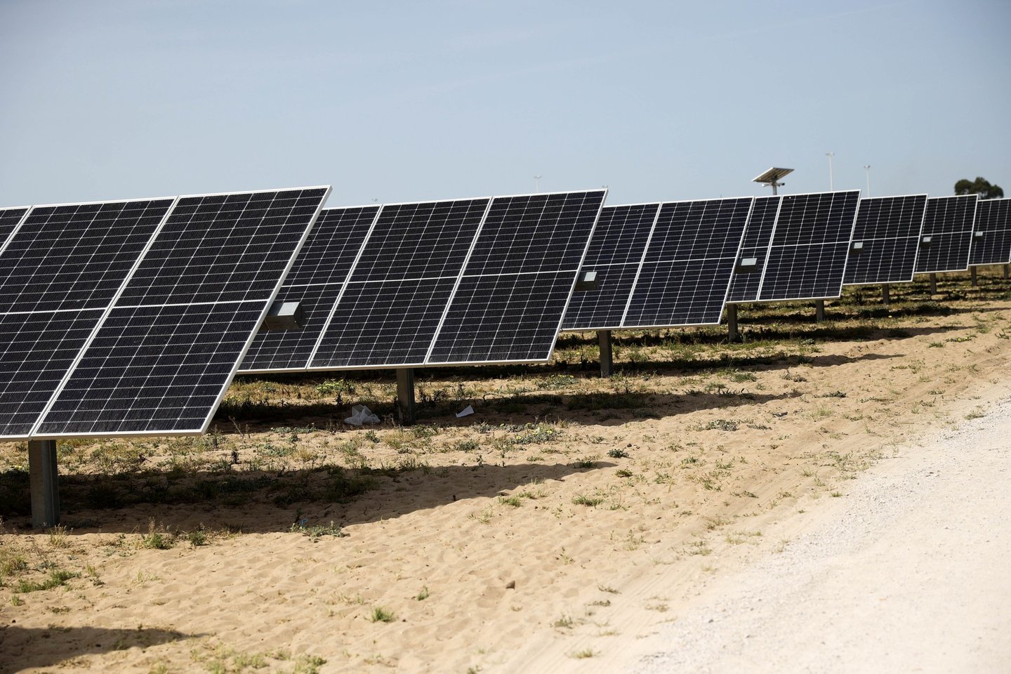 Projeto de central solar em Évora reformulado para maior dispersão territorial