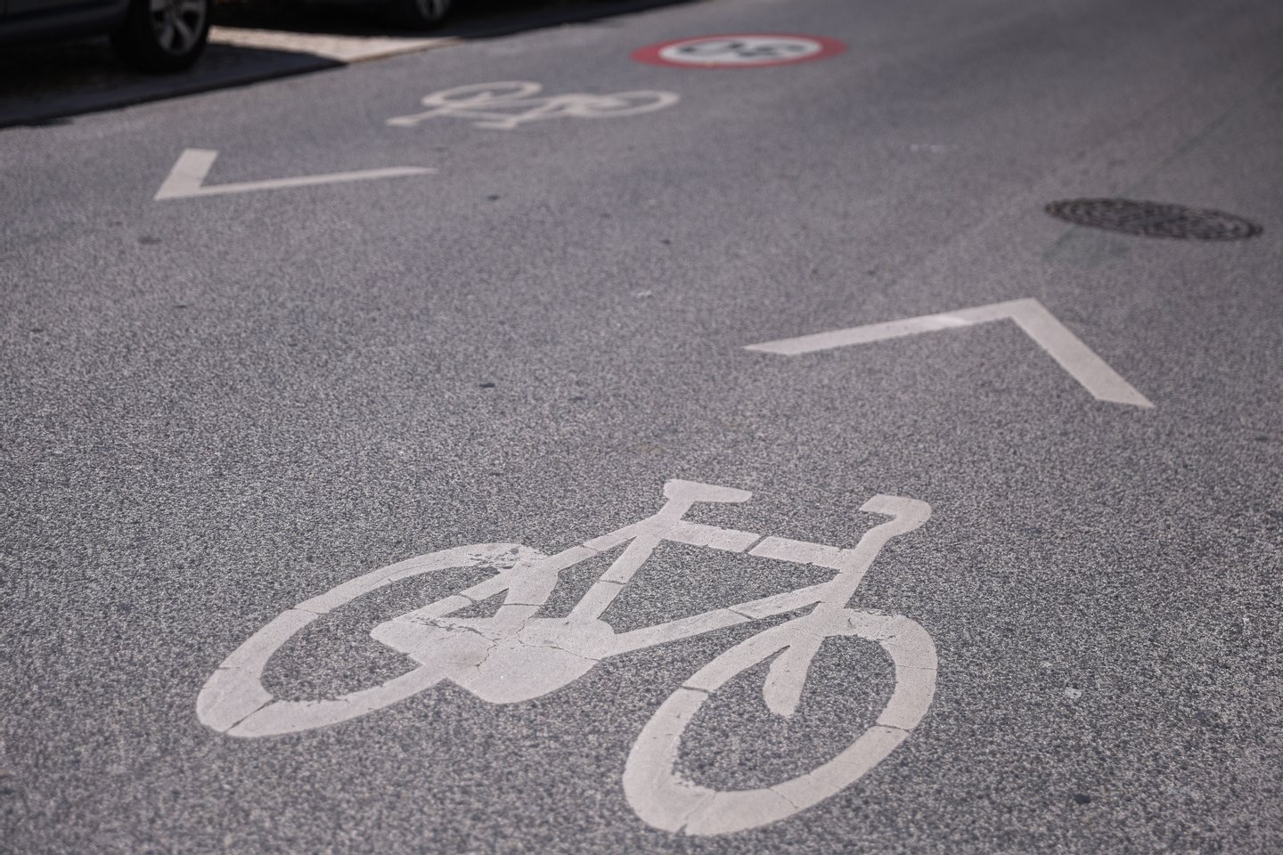 Petição pede ciclovia segregada na Avenida da Índia, em Lisboa