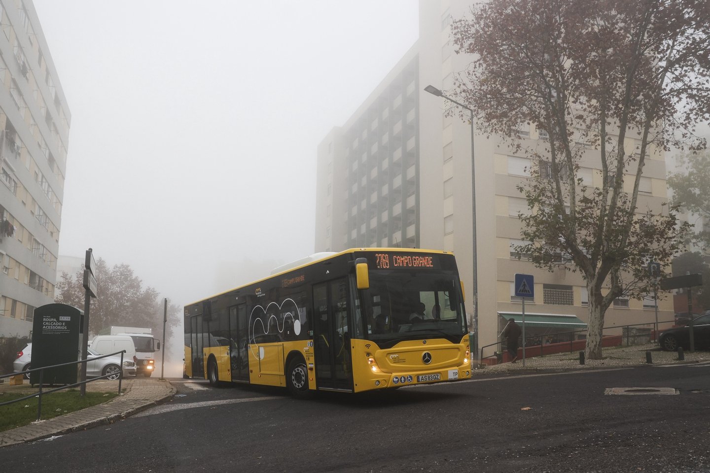 Assembleia Municipal de Lisboa quer “desconto de 50%” nos transportes públicos para maiores de 65 anos