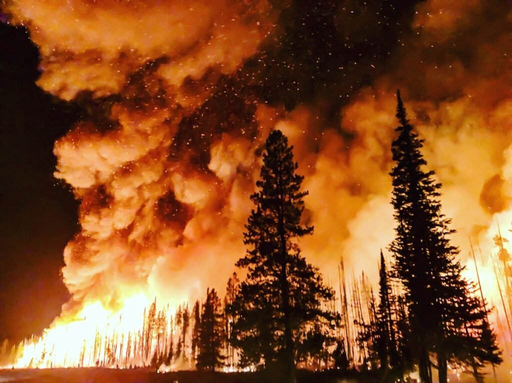 Incêndios: DIAP de Évora arquiva processo relativo ao fogo de Mação em 2017