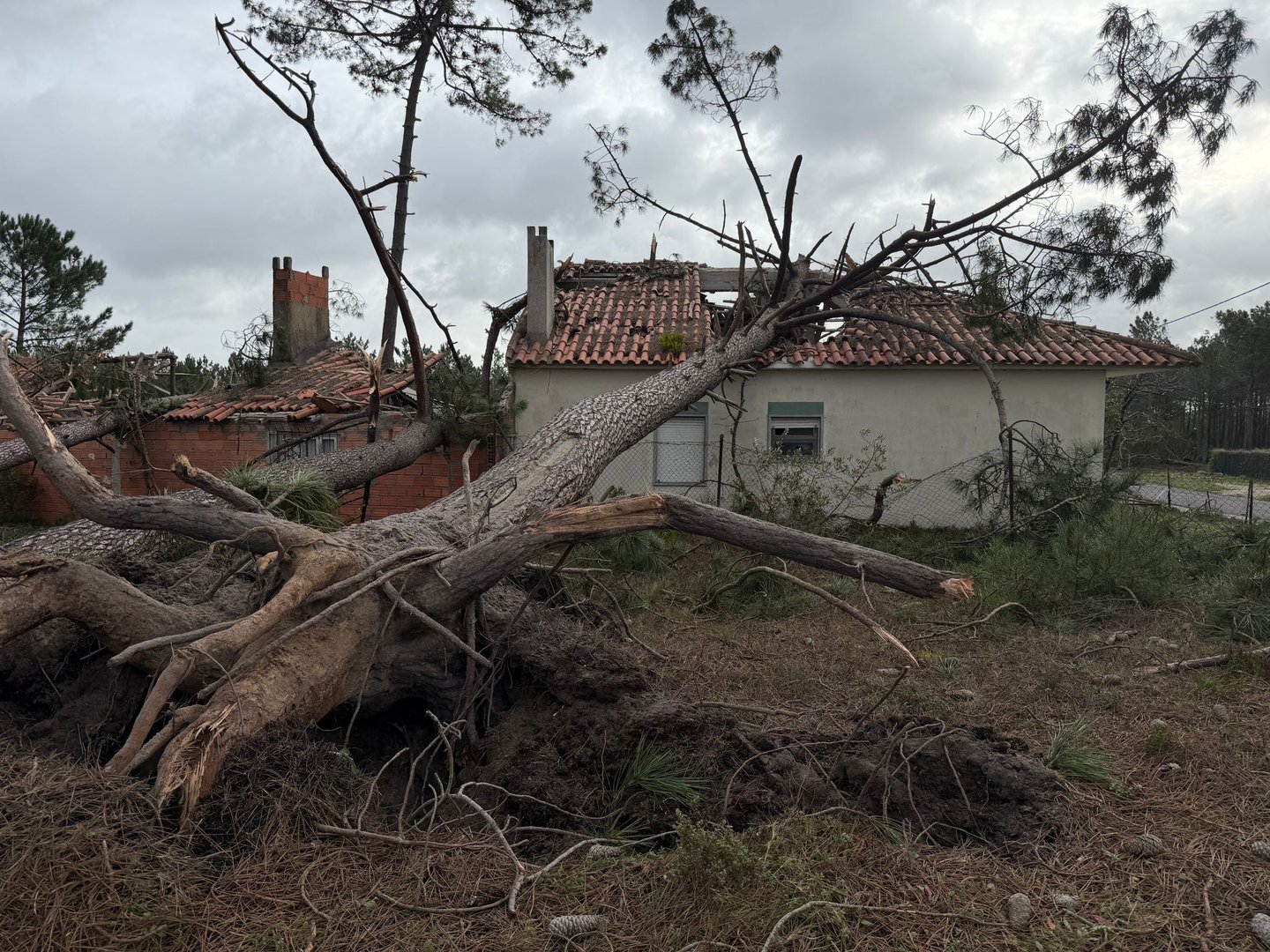 Casa destruída Alcobaça